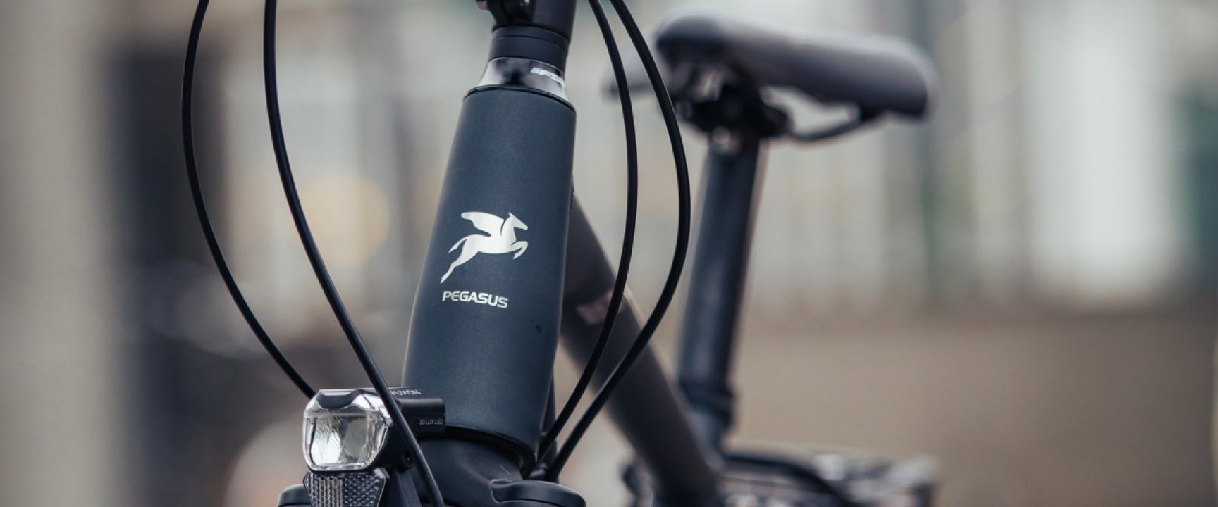 Pegasus | Sumedia en Product